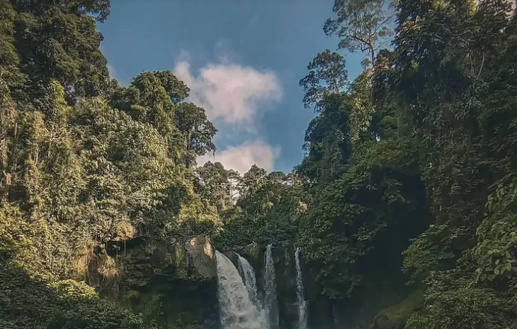 Mengungkap Misteri di Balik Pesona Hutan Kalimantan: Kisah Kerajaan Gaib dan Mitos Mistis