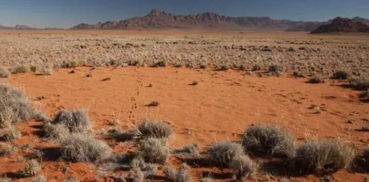 Misteri Lingkaran Misterius di Namibia Terpecahkan