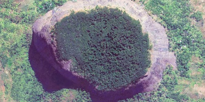 Penuh Misteri, Hutan Tak Terjamah di Puncak Gunung Bikin Ilmuwan Penasaran