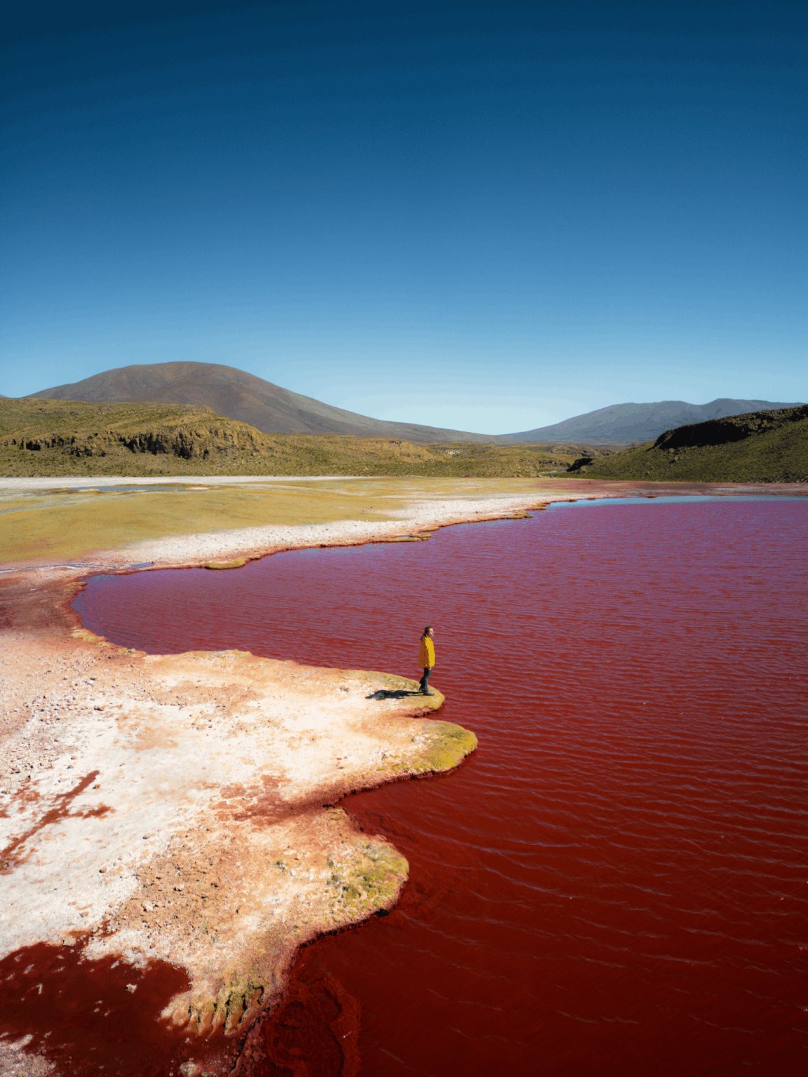 Red Lagoon: misteri yang wajib dikunjungi di utara Chili