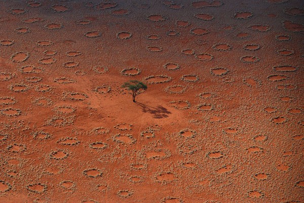 Misteri Jejak Kaki Dewa di Namibia