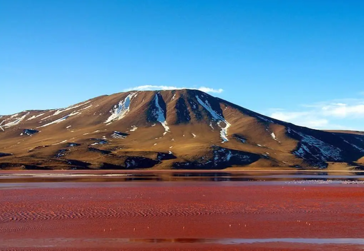 Misteri Air Laguna Colorada di Bolivia yang Berwarna Merah Darah