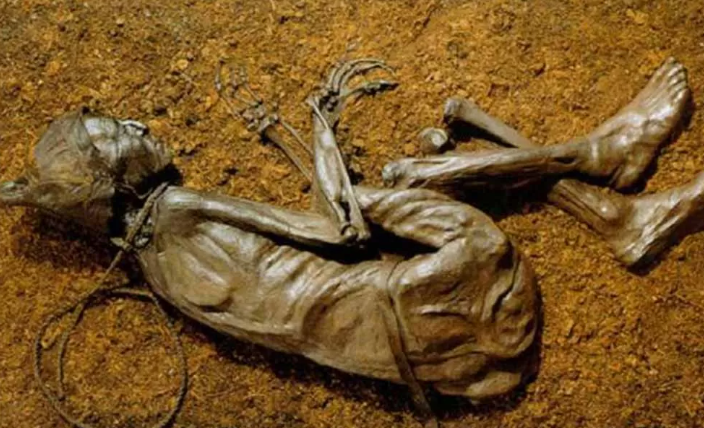 Misteri Tollund Man: Kehidupan Tersembunyi dari Rawa Denmark