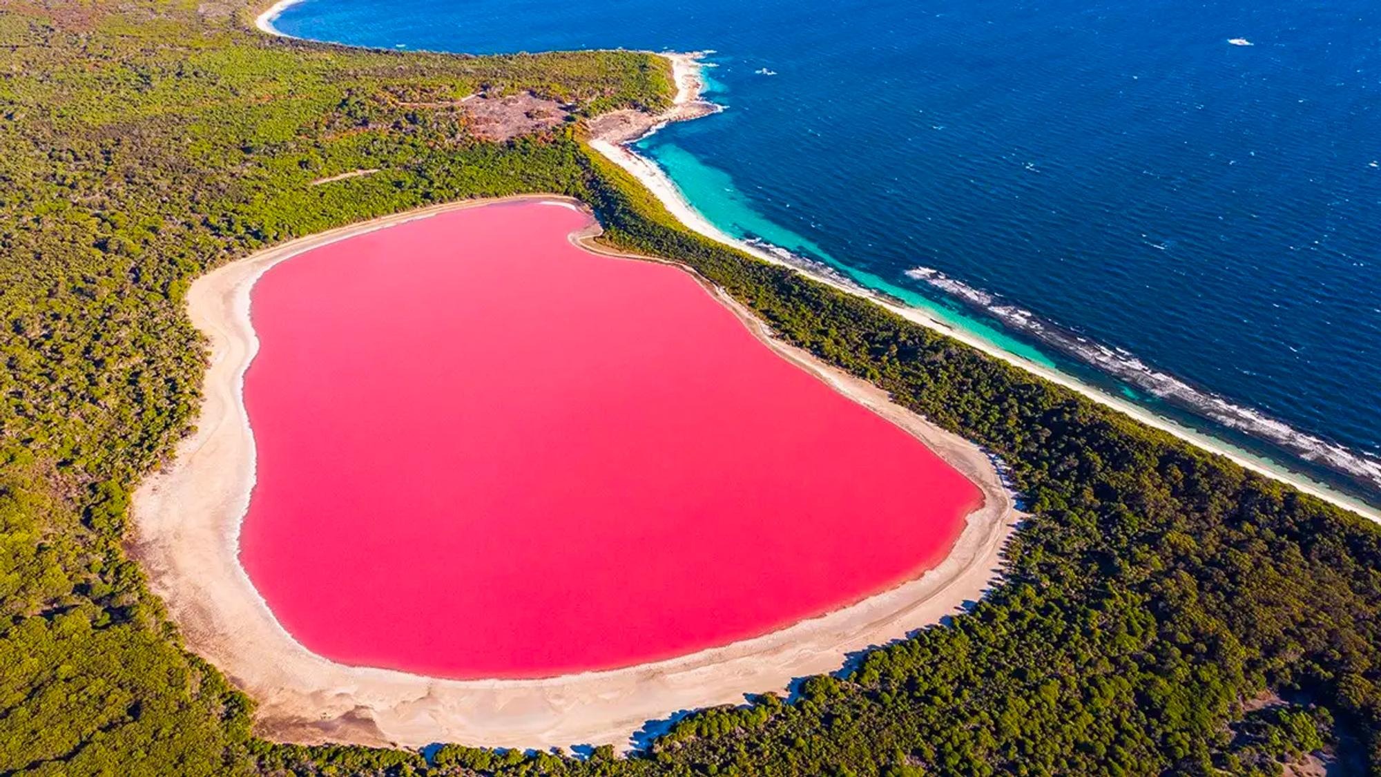Danau Pink dari Australia: Keajaiban Alam Bernama Danau Hillier