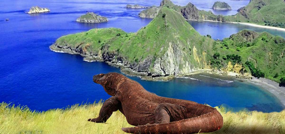 Pulau Komodo: Rumah Sang Naga Purba di Ujung Timur Indonesia