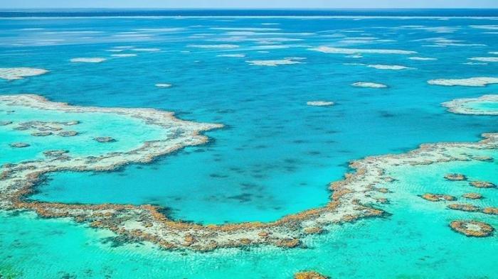 Great Barrier Reef: Mahakarya Alam Terbesar di Dunia yang Terancam Punah